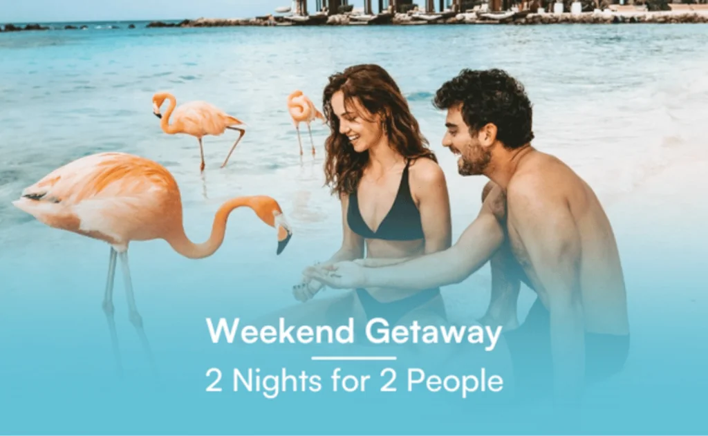 Tinggly trip for 2 Voucher with couple feeding a flamingo